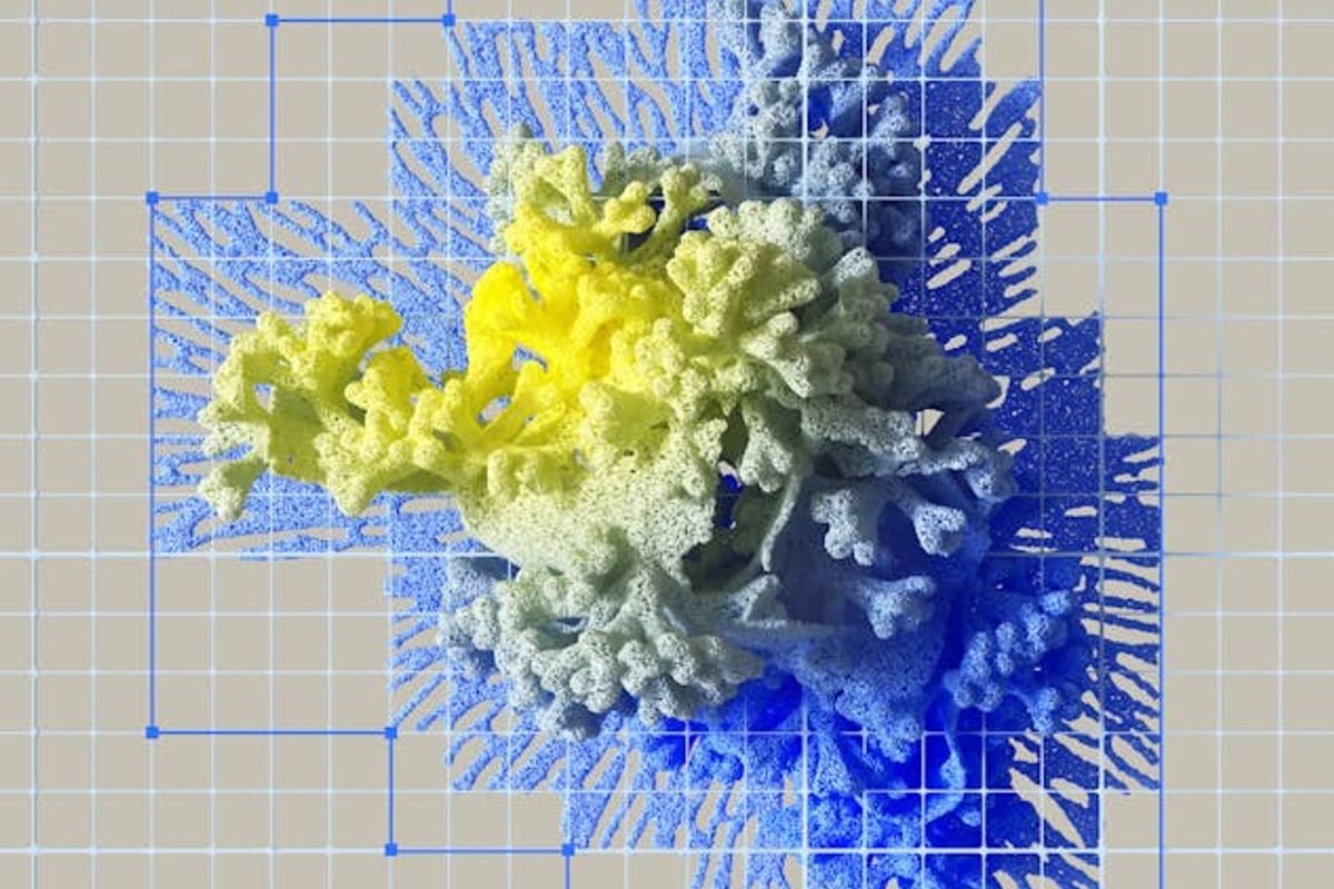 Ethical AI in Finance: Navigating the Risks